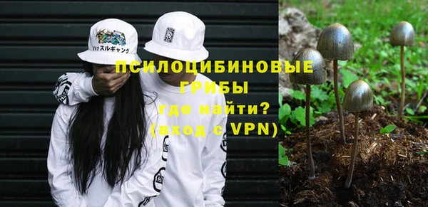 эйфоретик Дмитровск