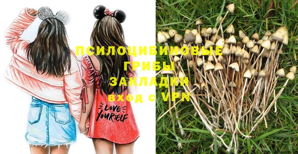 соль курить ск Дмитриев